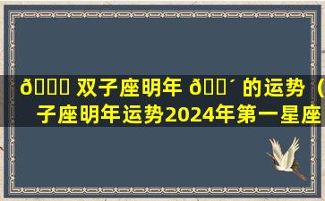 🍁 双子座明年 🌴 的运势（双子座明年运势2024年第一星座）